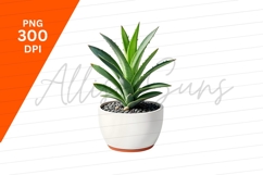 Aloe Vera Plant In White Pot Clipart Png Product Image 1
