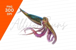Colorful Squid Isolated Marine Animal Clipart Png Product Image 1