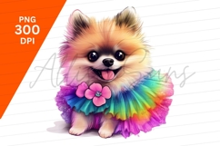Playful Pomeranian Puppy Rainbow Dress Clipart Png Product Image 1