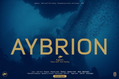 Aybrion - Sans Serif Font Family Product Image 1