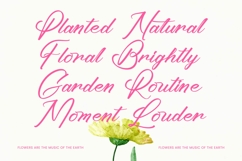 Ayeshy Clanita - Bold Calligraphy Product Image 5