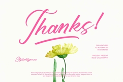 Ayeshy Clanita - Bold Calligraphy Product Image 20