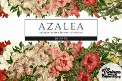 Azalea Vintage Floral Botanical Clip Art Product Image 1