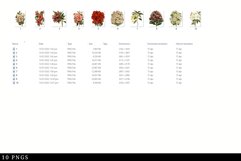 Azalea Vintage Floral Botanical Clip Art Product Image 3