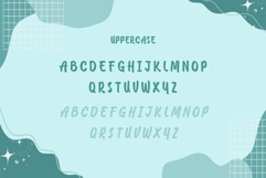 Azmee Product Image 8