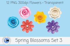Spring PNG Blossoms 3 Product Image 3