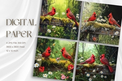 Christmas Bird Background Winter Snow Santa Wallpaper_8 Product Image 1