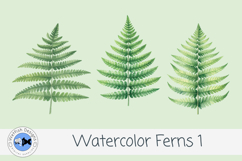 Watercolor Ferns Clipart PNG Set | Botanical Greenery Leaves Product Image 3
