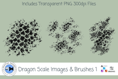 Dragon Scale Brushes and Images 1 Product Image 3