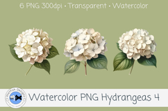 Watercolor Hydrangea PNG Clipart Set 4 Product Image 3