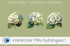 Watercolor Hydrangea PNG Clipart Set 1 Product Image 3