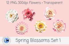 Spring PNG Blossoms 1 Product Image 3
