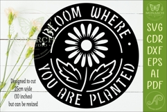 Bloom Where You Are Planted Floral Wall Sign, Inspirational Product Image 2