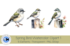 Spring Birds PNG Watercolor Clipart 1 Product Image 3