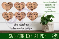 Baby monthly milestone discs SVG heart with vine flowers Product Image 2