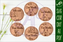 Woodland animals themed Baby monthly milestone discs SVG Product Image 2