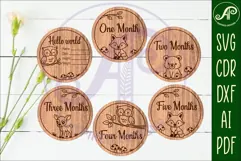 Woodland animals themed Baby monthly milestone discs SVG Product Image 2