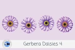 Watercolor Gerbera Daisies PNG Floral Clipart Set 4 Product Image 3