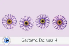 Watercolor Gerbera Daisies PNG Floral Clipart 4 Product Image 3