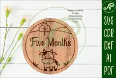 Cute farm animals themed Baby monthly milestone discs SVG Product Image 2