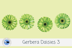 Watercolor Gerbera Daisies PNG Floral Clipart Set 3 Product Image 3