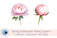 Watercolor PNG 300dpi Peony Flowers 1 Product Image 3