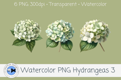 Watercolor Hydrangea PNG Clipart Set 3 Product Image 3