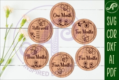 Baby monthly milestone discs SVG Bees theme Product Image 2