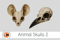 Animal Skulls 2| Gothic Animal Skull PNG Clipart Product Image 3