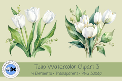 Spring Tulips PNG Watercolor Clipart 3 Product Image 3