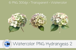Watercolor Hydrangea PNG Clipart Set 2 Product Image 3