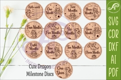 Cute Baby Dragon Milestone Discs, Monthly Baby Photo Props, Product Image 2