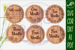 Baby Milestone Discs Daisy Floral, Monthly Baby photo props Product Image 2