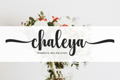 Welcome December- Family Font In 56 Styles Product Image 2