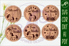 Baby monthly milestone discs SVG Unicorns theme Product Image 2