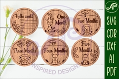 Cute Safari Animal Baby monthly milestone discs SVG Product Image 2