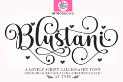 Best Script Font Bundle Collections Product Image 6