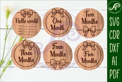 Bow Baby Milestone Discs, Girl Monthly Milestones Product Image 2