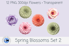 Spring PNG Blossoms 2 Product Image 3