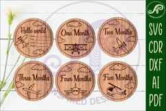 Plane themed Baby monthly milestone discs SVG laser Product Image 2
