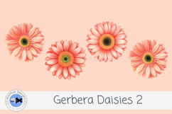 Watercolor Gerbera Daisies PNG Floral Clipart Set 2 Product Image 3