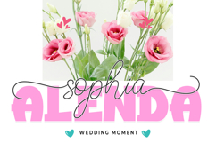 Dream Wedding Duo | Family Font in 75 Style Product Image 2