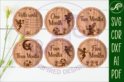 Fairy themed Baby monthly milestone discs SVG Product Image 2