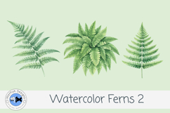 Watercolor Ferns Clipart PNG Set 2| Botanical Greenery Leave Product Image 3