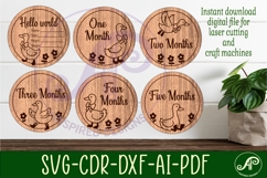 Goose themed Baby monthly milestone discs SVG laser engraved Product Image 2