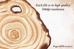 Watercolor Wood Slices Clipart Product Image 3