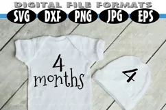 Baby Shirt Months 1-12 for Growing Pictures Product Image 2