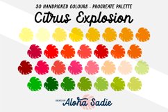 Citrus Explosion Procreate Colour Palette Swatch Product Image 1