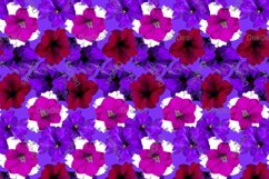 12 Seamless colorful FLOWER patterns bundle. Digital Paper Product Image 8