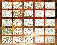 50 FALLING LEAVES TRANSPARENT PNG FILES, PHOTOSHOP OVERLAYS Product Image 4